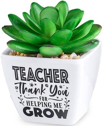 Teacher Thank You For Helping Me Grow...Sentiment Succulent