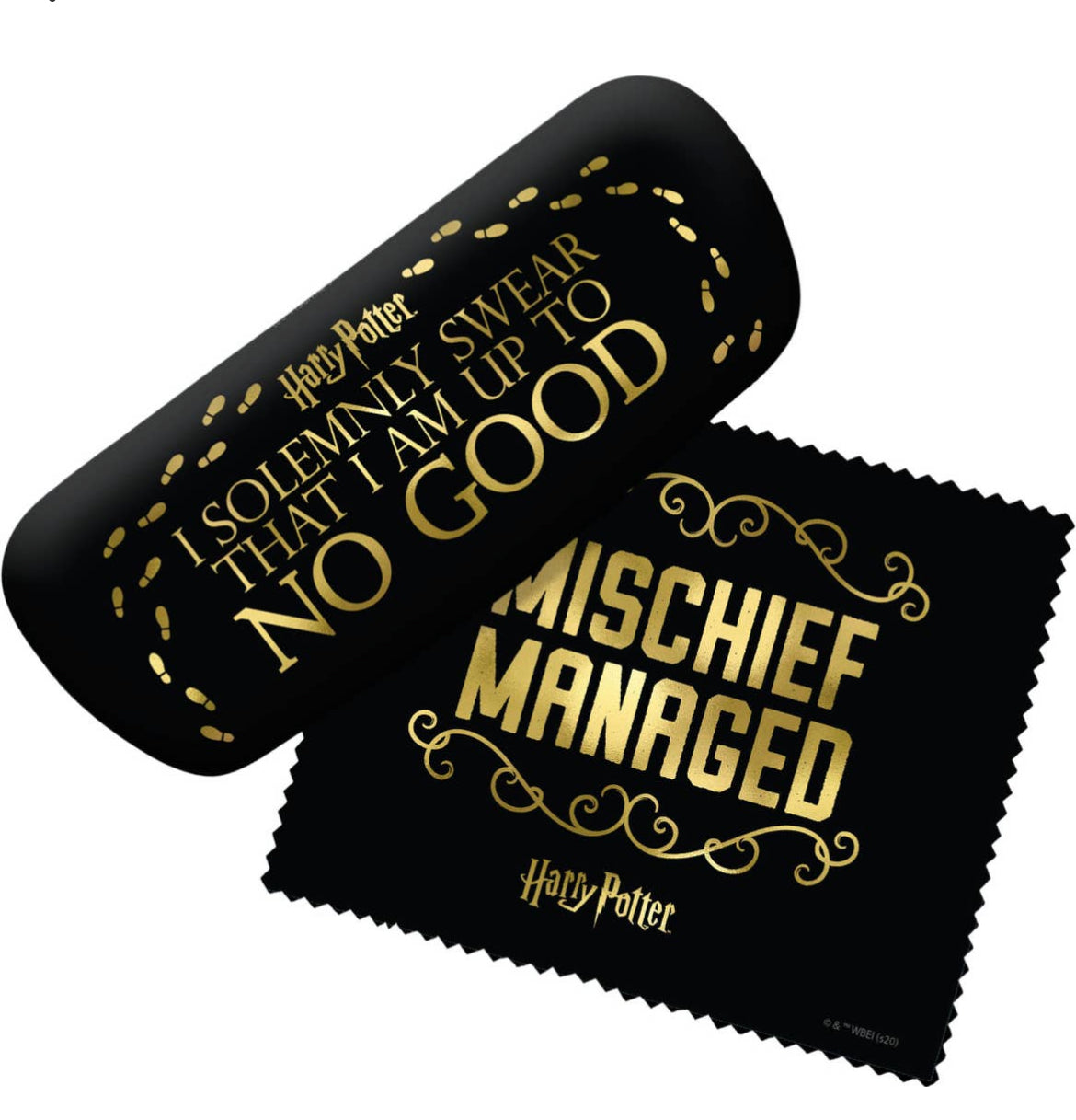 Mischief Managed Eyeglass Case