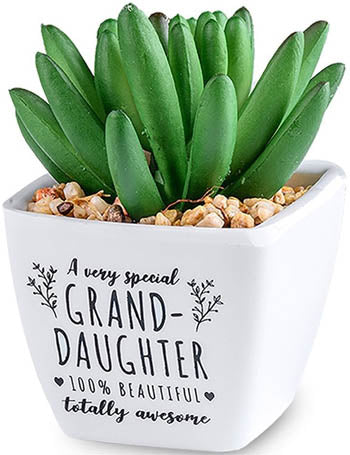 A Very Special Grandaughter 100% Beautifull...Sentiment Succulents