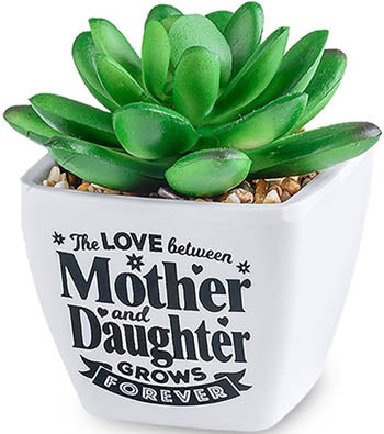 The Love Between Mother And Daughter Grows Forever...Sentiment Succulent