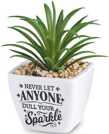 Never Let Anyone Dull Your Sparkle...Sentiment Succulent