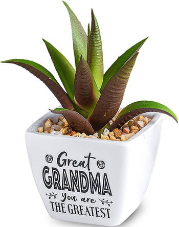 Great Grandma You Are The Greatest...Sentiment Succulent