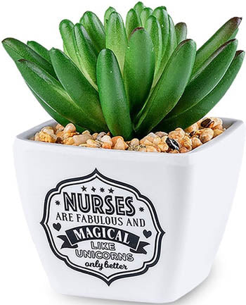 Nurses Are Fabulous And Magical Like Unicorns But Better...Sentiment Succulent