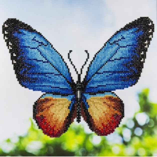 Butterfly- Diamond Art Kit