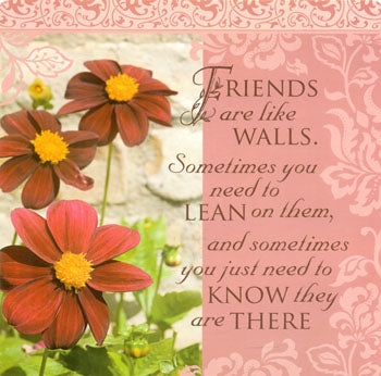 Friends Are Like Walls…Kitchen Towel