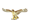 Red Tailed Hawk