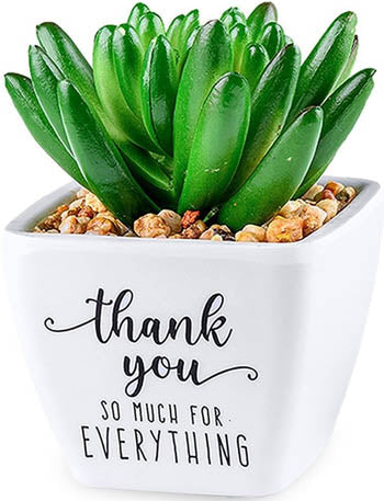 Thank You So Much For Everthing...Sentiment Succulents