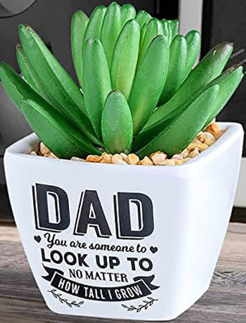 Dad You Are Somone To Look Up To No Matter How Tall I Grow...Sentiment Succulent
