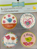 Boutique Monthly Iron-on Stickers