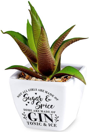 Not All Girls Are Made Of Sugar And Spice...Sentiment Succulents