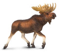 Moose