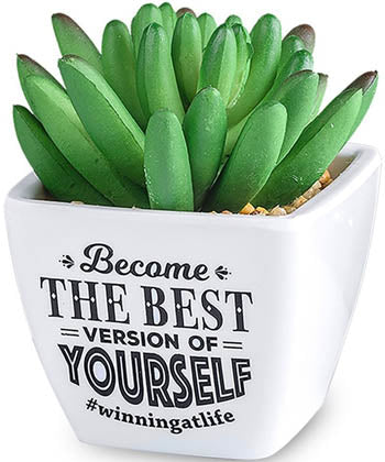 Become The Best Version Of Yourself...Sentiment Succulents