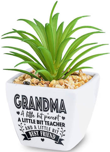 Grandma A Little Bit Parent A Little Bit Teacher And A Little Bit Best Friend...Sentiment Succulents