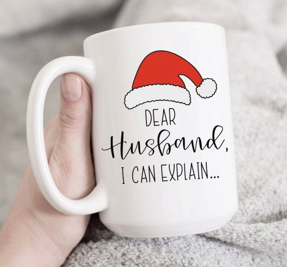 Dear Husband I Can Explain Mug