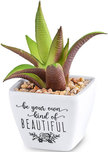 Be Your Own Kind Of Beautiful...Sentiment Succulents