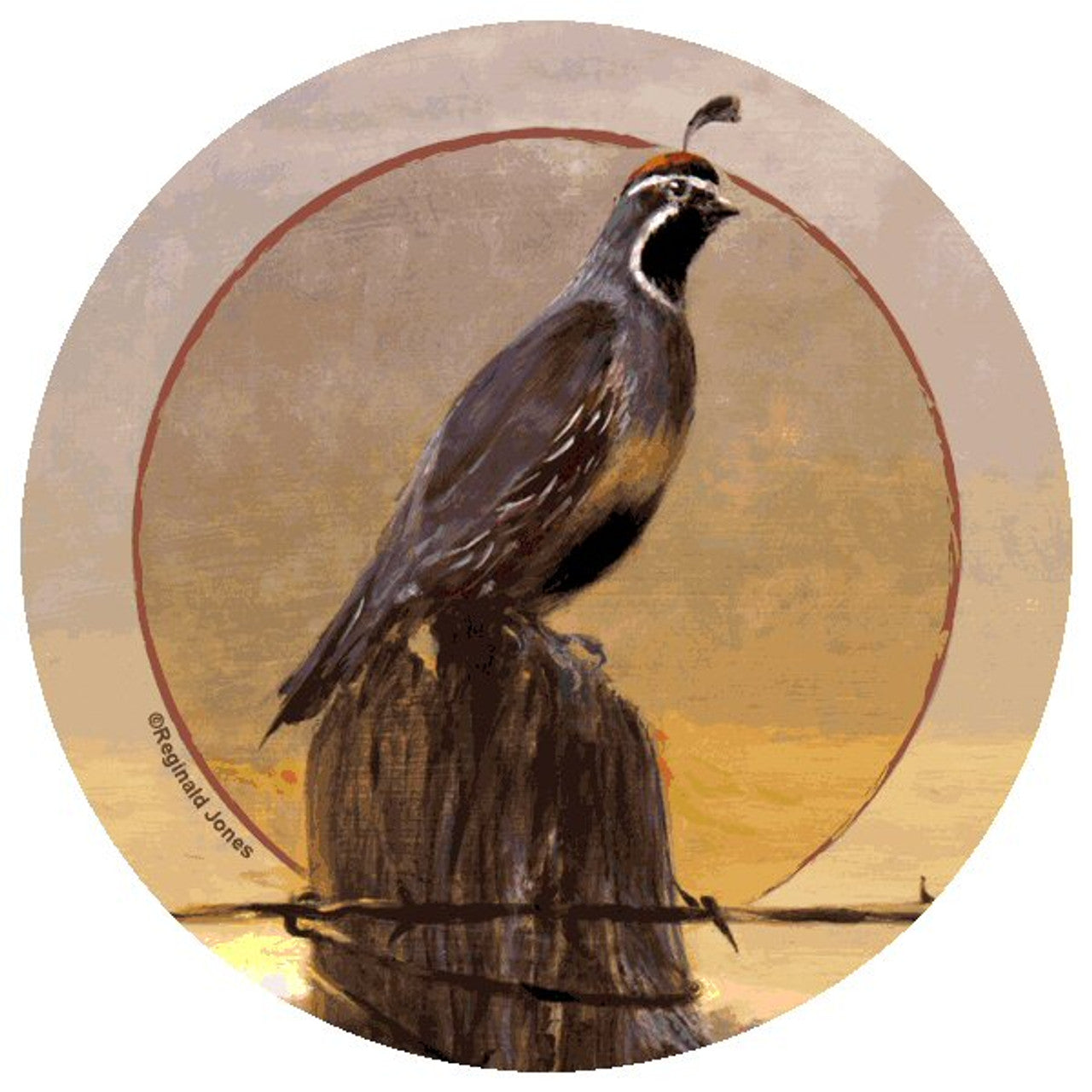 Quail Morning Coaster